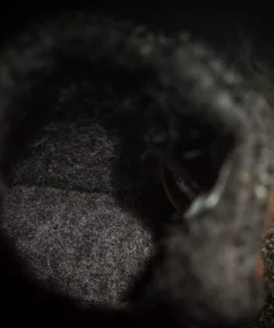 Wildling Shoes Basics Nordwolf