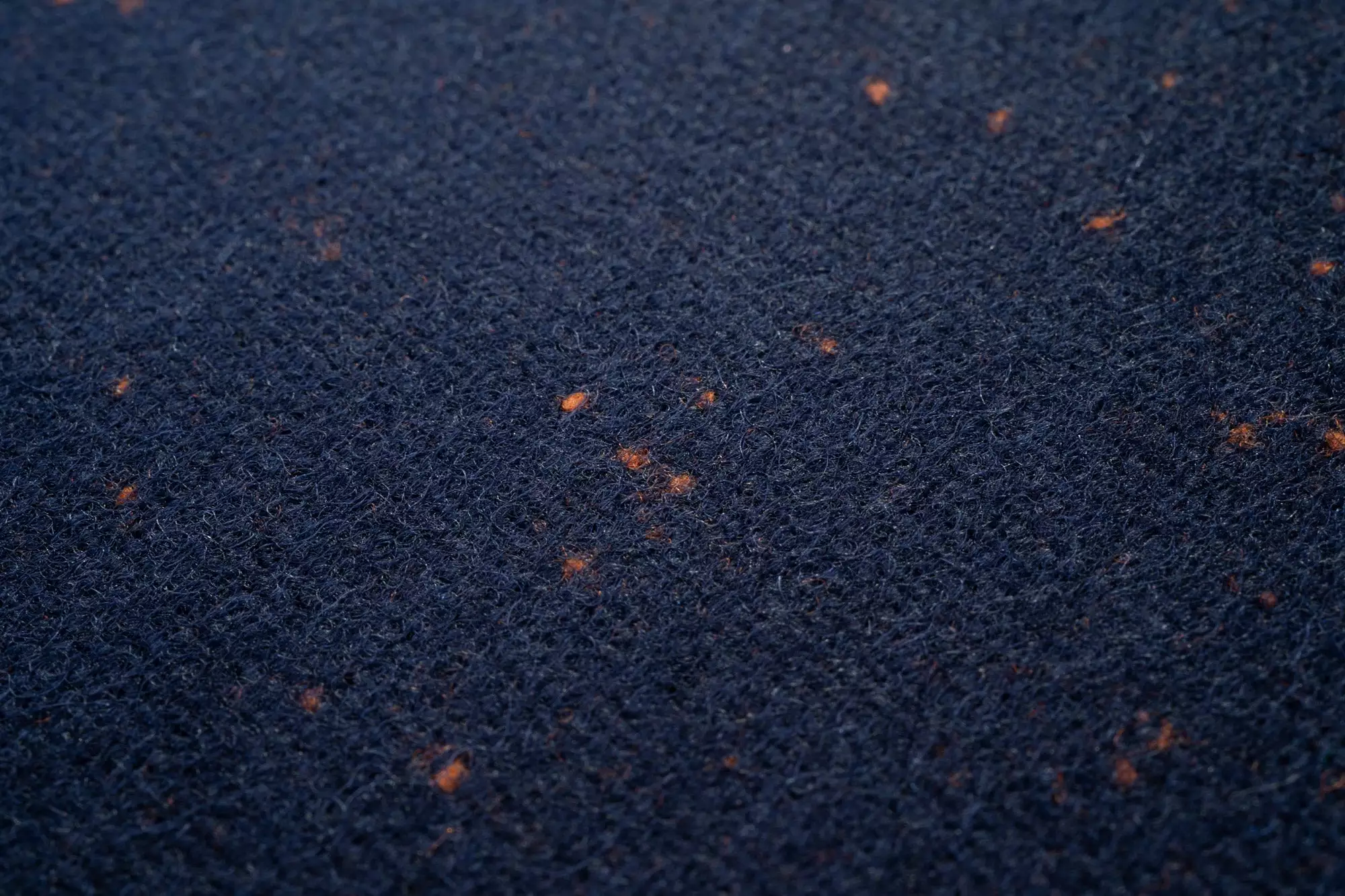 Wildling Shoes Astron Herbst / Winter 7 Wildling Shoes Astron Herbst / Winter